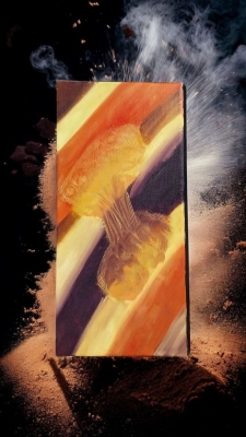 toile peinte par dP13 formation QVT 